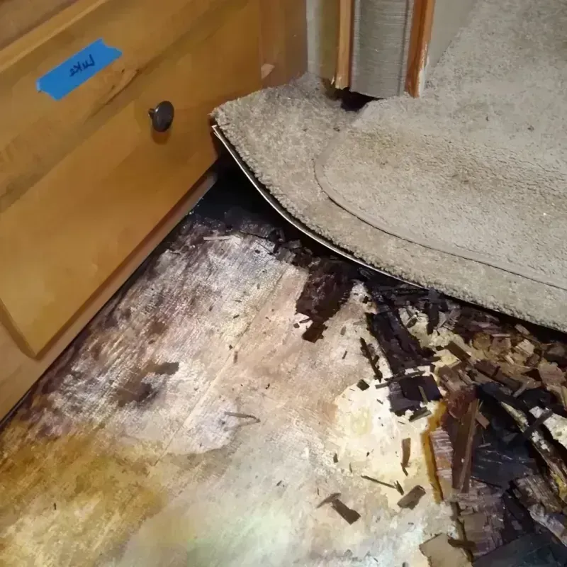 Wood Floor Water Damage in Shell Valley, ND